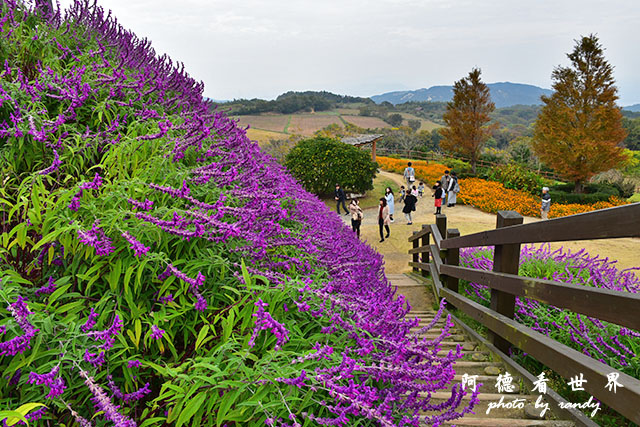 淡路島-舞子D810 046.JPG