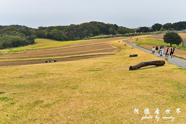 淡路島-舞子D810 089.JPG