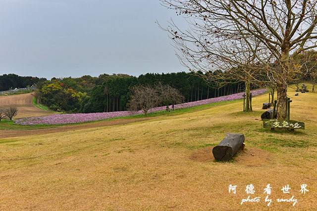 淡路島-舞子D810 087.JPG