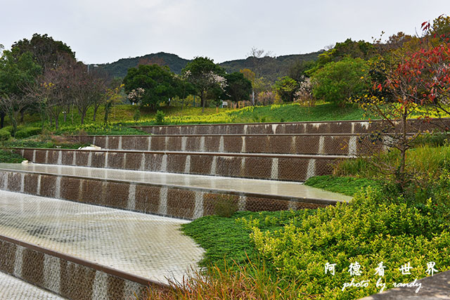 淡路島-舞子D810 135.JPG