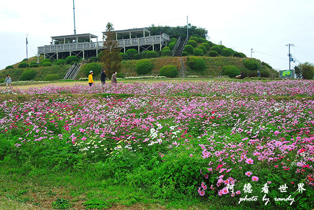 淡路島-舞子P7700 023.JPG