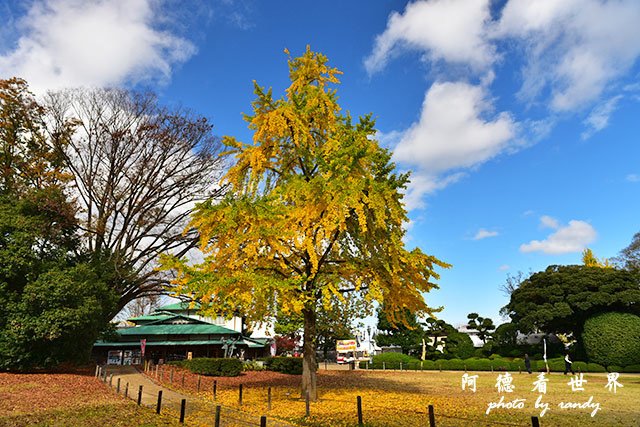 岡山D810 068.JPG