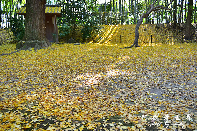 岡山D810 102.JPG 岡山D810 102.JPG