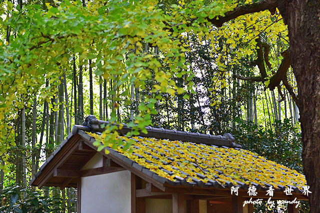 岡山D810 108.JPG 岡山D810 108.JPG