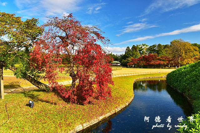 岡山D810 129.JPG 岡山D810 129.JPG