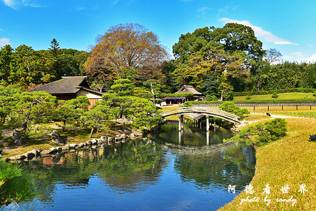 岡山D810 130.JPG 岡山D810 130.JPG