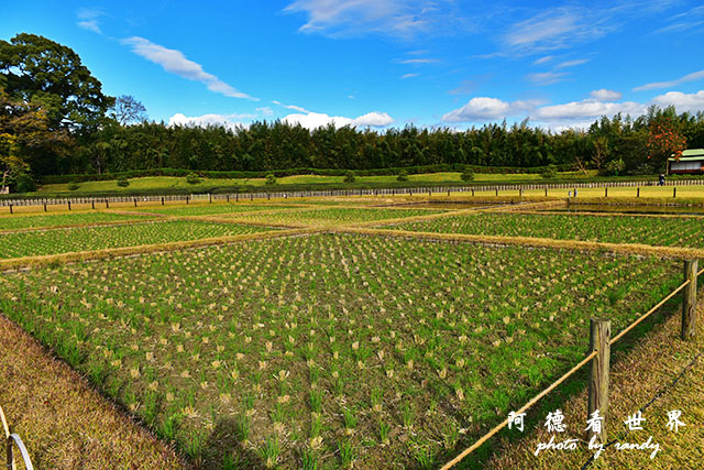 岡山D810 131.JPG 岡山D810 131.JPG