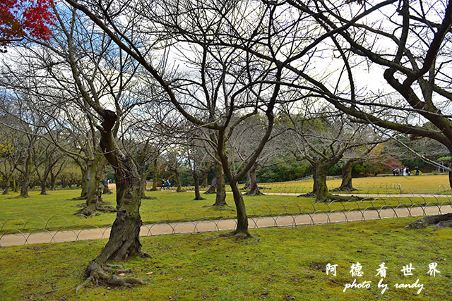 岡山D810 144.JPG 岡山D810 144.JPG