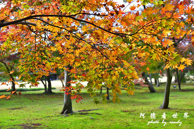 岡山D810 153.JPG 岡山D810 153.JPG