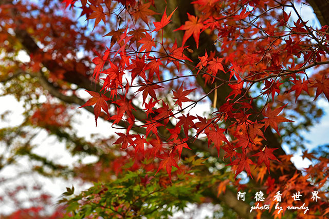 岡山D810 148.JPG 岡山D810 148.JPG