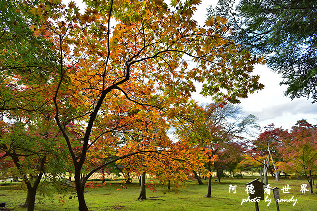 岡山D810 156.JPG 岡山D810 156.JPG