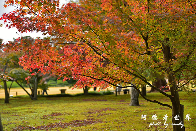 岡山D810 161.JPG 岡山D810 161.JPG