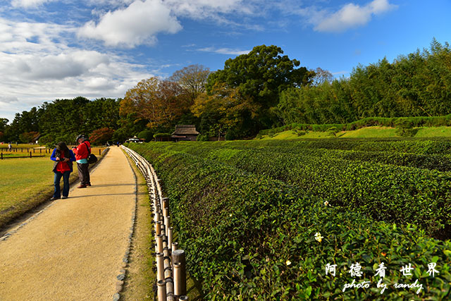 岡山D810 173.JPG