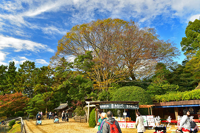 岡山D810 177.JPG 岡山D810 177.JPG