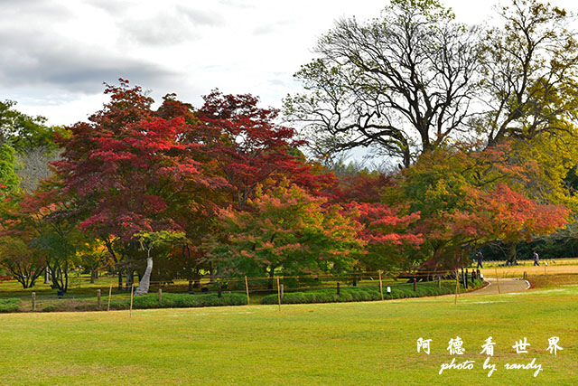 岡山D810 176.JPG 岡山D810 176.JPG