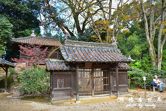 岡山D810 192.JPG 岡山D810 192.JPG