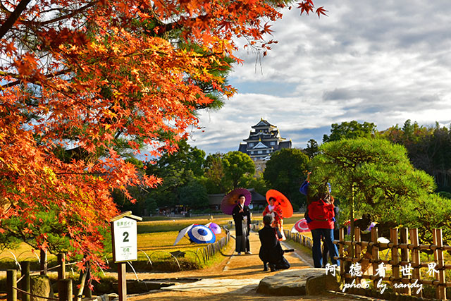 岡山D810 236.JPG 岡山D810 236.JPG