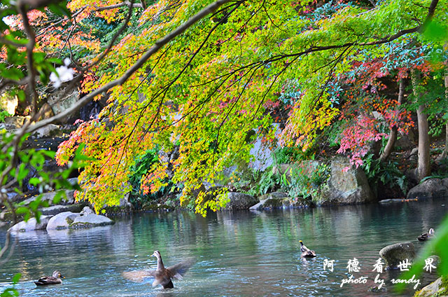 岡山D7000 014.JPG 岡山D7000 014.JPG