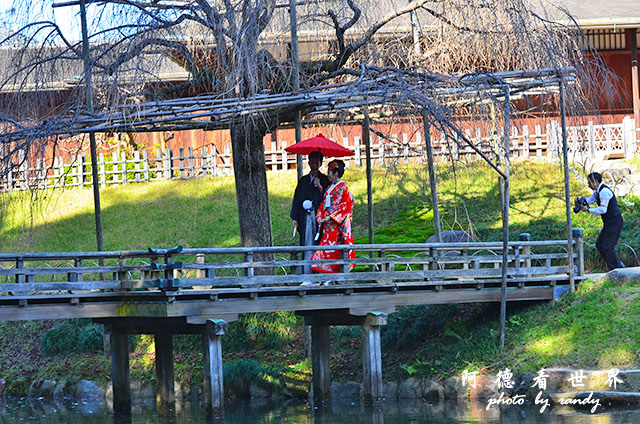 岡山D7000 018.JPG 岡山D7000 018.JPG