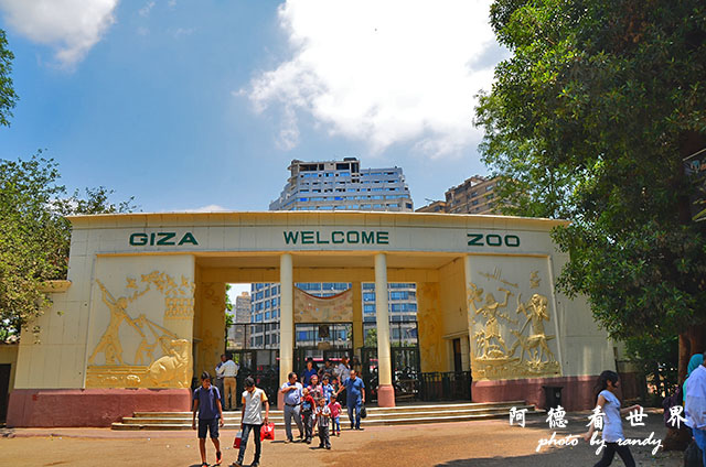 cairo-zooD7000 012.JPG cairo-zooD7000 012.JPG