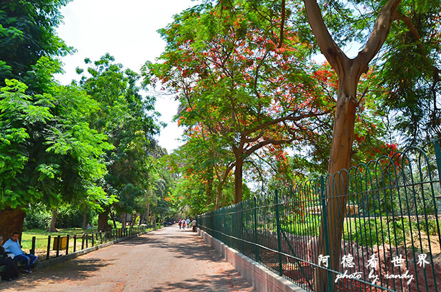 cairo-zooD7000 014.JPG cairo-zooD7000 014.JPG