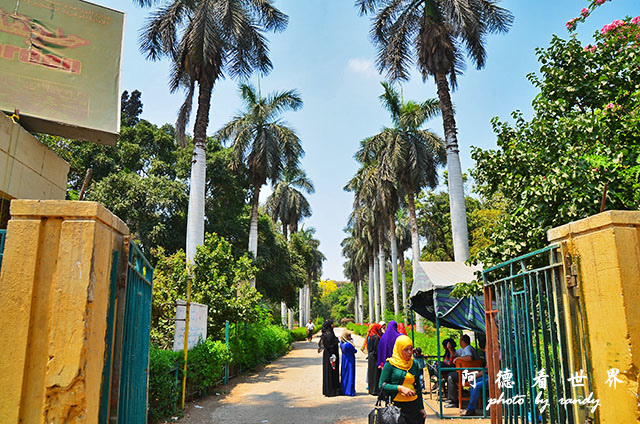 cairo-zooD7000 019.JPG cairo-zooD7000 019.JPG