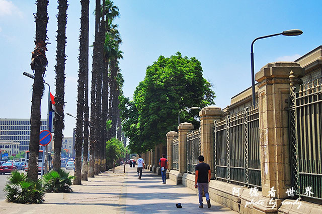 cairo-zooP7700 010.JPG cairo-zooP7700 010.JPG