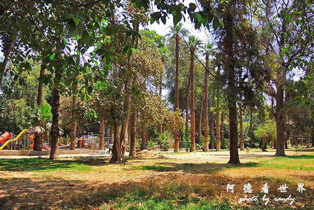 cairo-zooP7700 012.JPG cairo-zooP7700 012.JPG