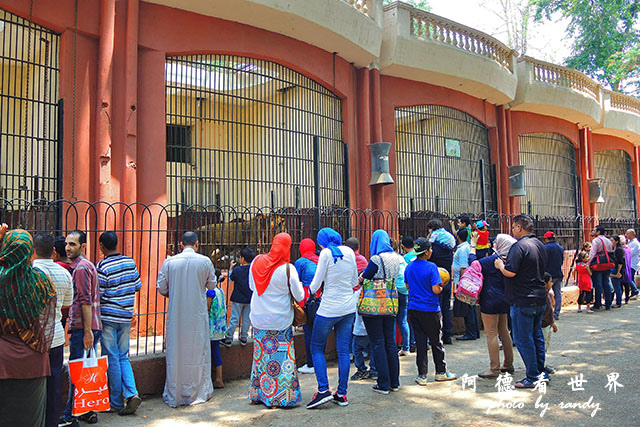 cairo-zooP7700 076.JPG cairo-zooP7700 076.JPG