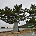 直島-倉敷D810 120.JPG