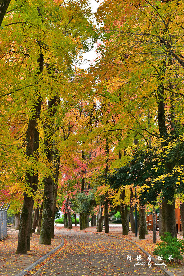 岡山-廣島D810 011.JPG 岡山-廣島D810 011.JPG
