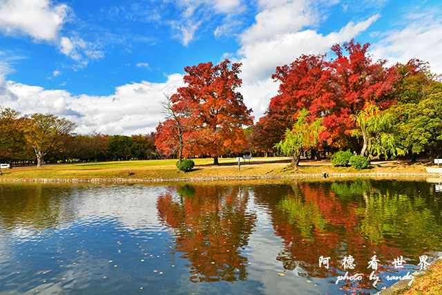 岡山-廣島D810 048.JPG 岡山-廣島D810 048.JPG