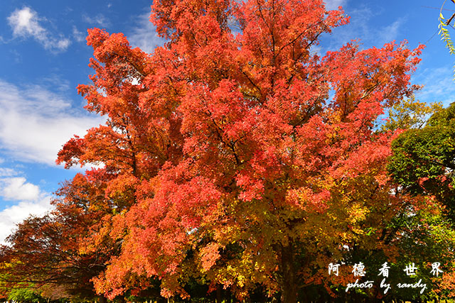 岡山-廣島D810 051.JPG 岡山-廣島D810 051.JPG