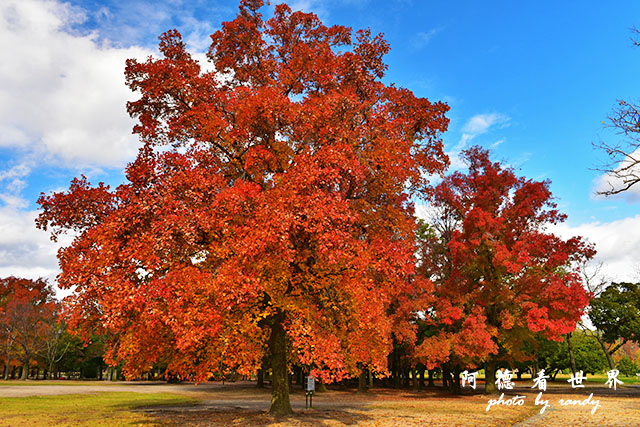 岡山-廣島D810 052.JPG 岡山-廣島D810 052.JPG