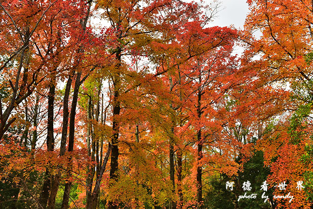 岡山-廣島D810 085.JPG 岡山-廣島D810 085.JPG