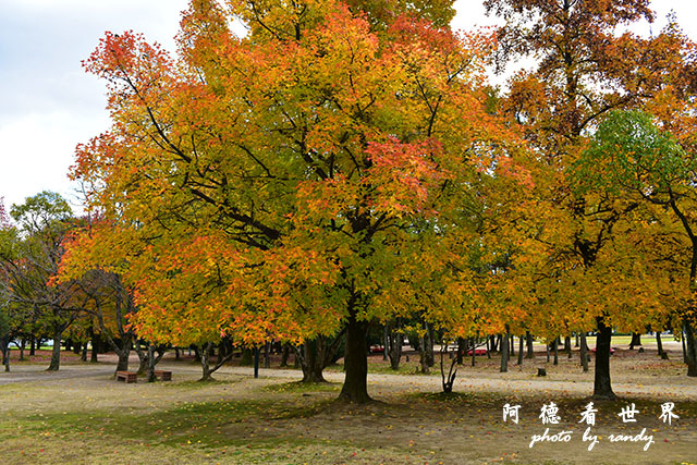 岡山-廣島D810 094.JPG 岡山-廣島D810 094.JPG