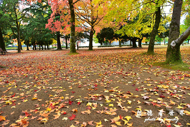 岡山-廣島D810 097.JPG 岡山-廣島D810 097.JPG