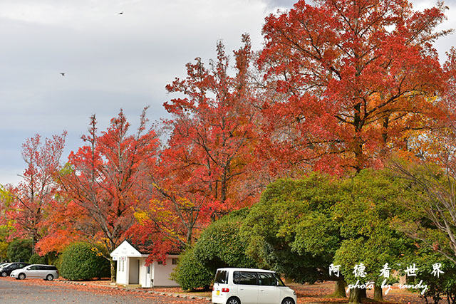 岡山-廣島D810 108.JPG 岡山-廣島D810 108.JPG