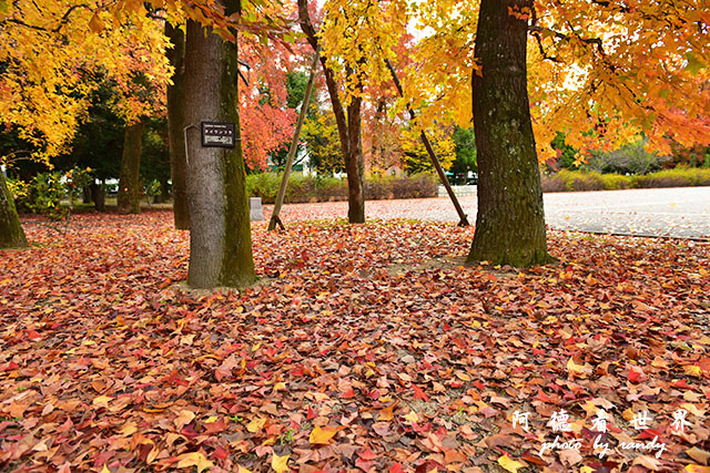 岡山-廣島D810 112.JPG 岡山-廣島D810 112.JPG