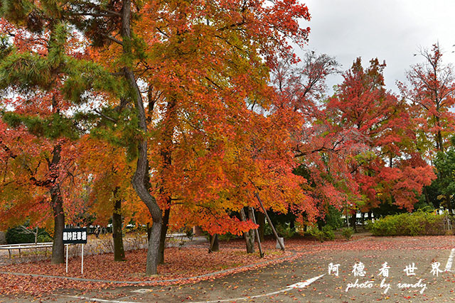 岡山-廣島D810 109.JPG