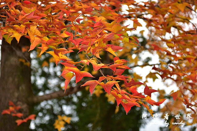 岡山-廣島D810 121.JPG 岡山-廣島D810 121.JPG