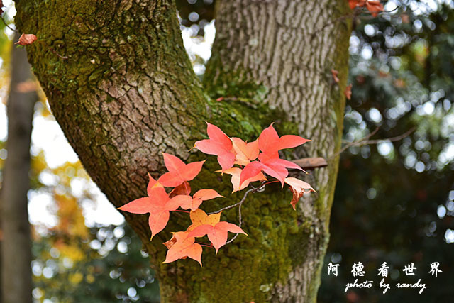 岡山-廣島D810 131.JPG 岡山-廣島D810 131.JPG