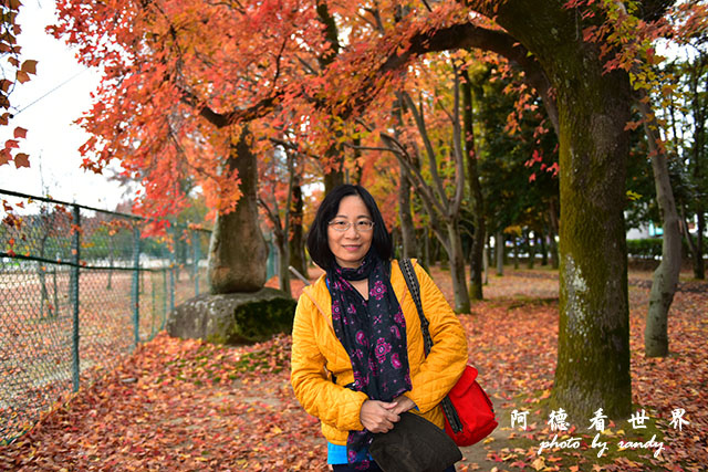 岡山-廣島D810 132.JPG 岡山-廣島D810 132.JPG