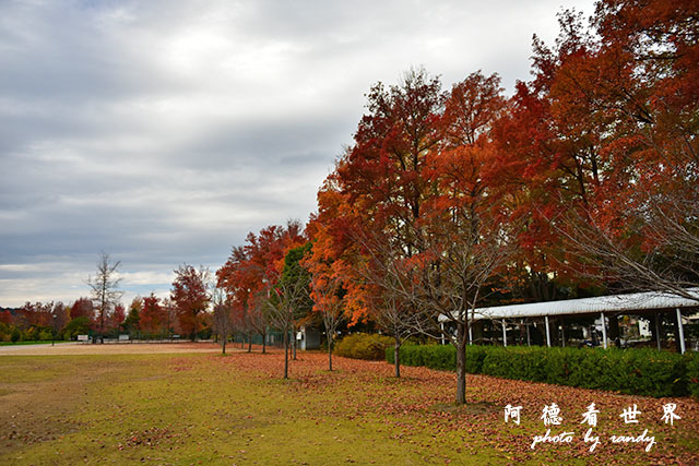 岡山-廣島D810 144.JPG