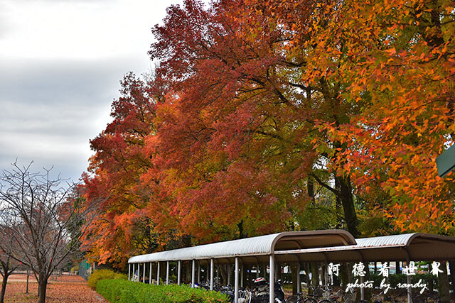 岡山-廣島D810 142.JPG 岡山-廣島D810 142.JPG