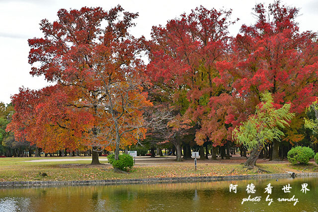 岡山-廣島D810 160.JPG 岡山-廣島D810 160.JPG