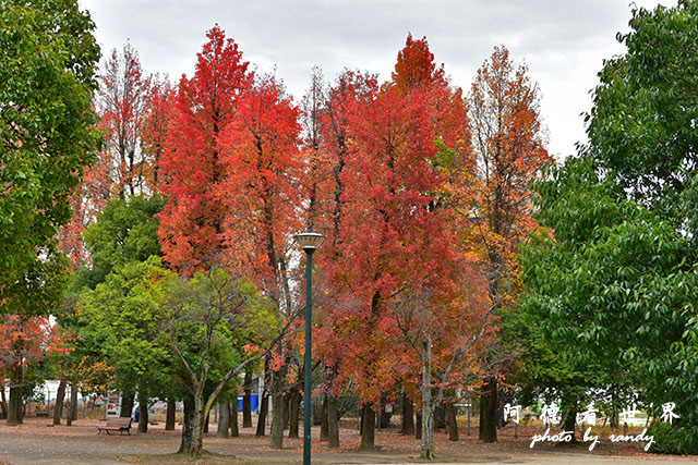 岡山-廣島D810 165.JPG 岡山-廣島D810 165.JPG