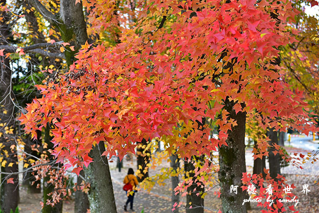 岡山-廣島D810 175.JPG 岡山-廣島D810 175.JPG