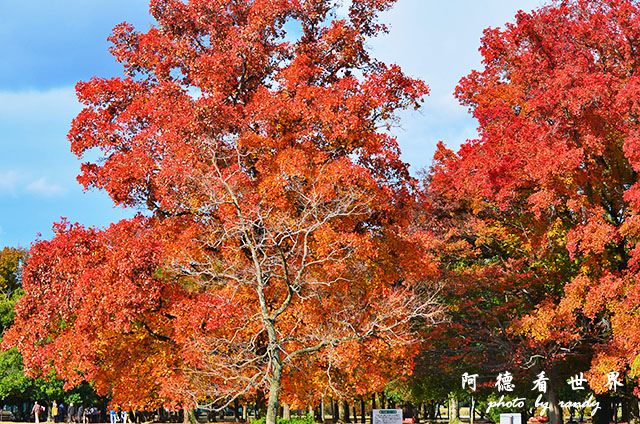 岡山-廣島D7000 017.JPG 岡山-廣島D7000 017.JPG
