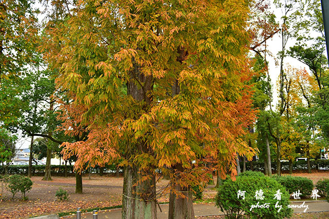 岡山-廣島D810 192.JPG 岡山-廣島D810 192.JPG